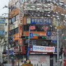행신주유소 | 자연과 평화와 고양이가 있는 3월의 신안사 템플스테이 후기
