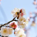 충무공파출소 이미지