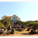 대영농원 이미지