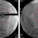 (주)시스파인 이미지