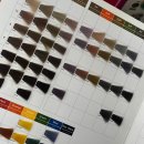 태경 | 청주 미용실 웨딩염색 영앤헤어스튜디오 봉명점 태경디자이너 후기