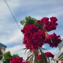 노후설계상담사 1급 과정 이미지