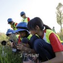 갯벌탐사 이미지