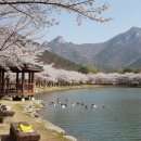 조강리 화장실 이미지