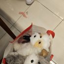 꼬물이공방 이미지