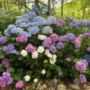 가든스테이 이미지