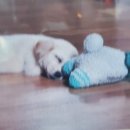 산수시장 이미지