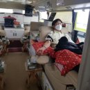 서귀포 자치경찰대 이미지