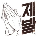 다인플라워 이미지