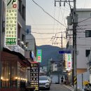 오동동054 | [창원 맛집] 오동동 통술거리 다찌 맛집 ”강림통술 1호점“ 🫶