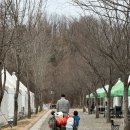 너나들이캠핑장 네이버블로그