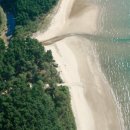 나리와꽃창포 이미지