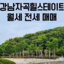 강남힐공인중개사사무소 이미지