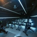 메인 휘트니스 백마점 이미지