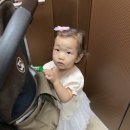 스테이 732 이미지