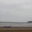 태안 팜카밀레 ~ 수국페스티벌 이미지