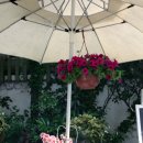 세라의 작은정원 이미지