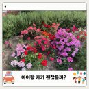 안산식물원 | 안산 실내 식물원 주차 입장료 솔직 후기, 아이랑 가볼만할까?