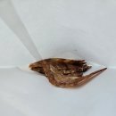 웨이팅에 지친 대전/공주 1박 2일 여행, #성심당DCC점 #공주 고가네칼국수