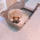 로하동물병원 이미지