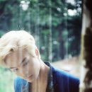 JR 헤어