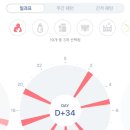 베베앙쥬 이미지