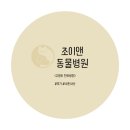 조이동물병원 | [리뷰·후기/수원, 향남, 화성 동물병원 추천] 고양이 친화병원, 조이앤 동물병원