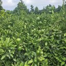 오늘부터 이미지