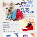내추럴발란스