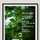 밥한그릇 이미지