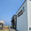 49 | 신두리여행코스 추천 바다뷰 브런치맛집 카페49 내돈내산 후기