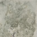 형상은 본질을 기억 이미지