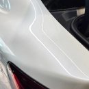 루스터 디테일링 이미지