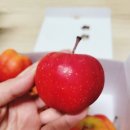 청백반점 이미지