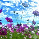 뭉게구름 이미지