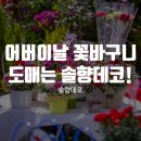 솔향데코 네이버블로그