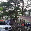 내리계곡 솔밭캠핑장 이미지