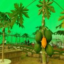 (주)티피팜 이미지