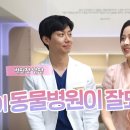 슬기로운 동물병원 이미지