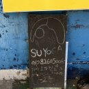 요가4 | 수요가 TTC(요가 지도자 과정) 4기 수료 후기!