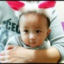 하진 Daum카페