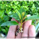 긴뿌리농장 이미지