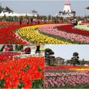 안성맞춤랜드공원5 이미지