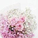 (학교)명주초 이미지