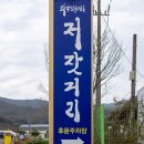 운정리마을회관 | 아산, 당진 가을) 애견 동반 당일치기 여행