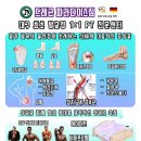 Tiger Paradise Gym 네이버블로그