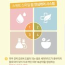 스위트스마일