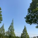 내리해장국 이미지