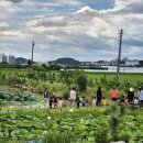 원아농장 이미지