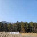 정글돔풀빌라앤글램핑 이미지